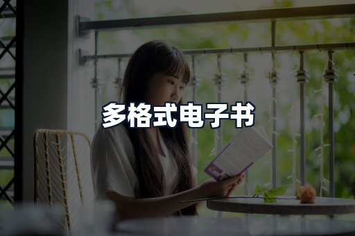 多格式电子书